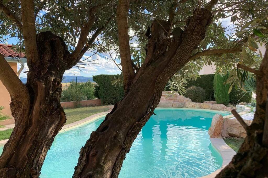 Villa Des Oliviers Avec Piscine Chassagny Exterior photo